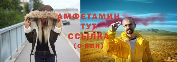 индика Верея