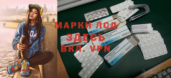 индика Верея