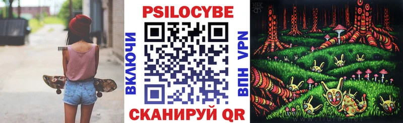 Купить закладки  Кольчугино  Псилоцибиновые грибы мухоморы 